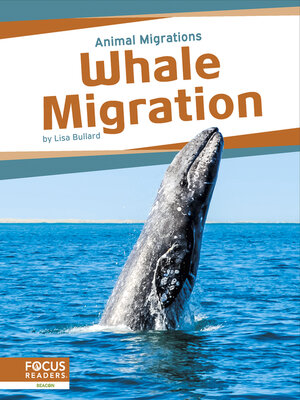 cover image of Whale Migration